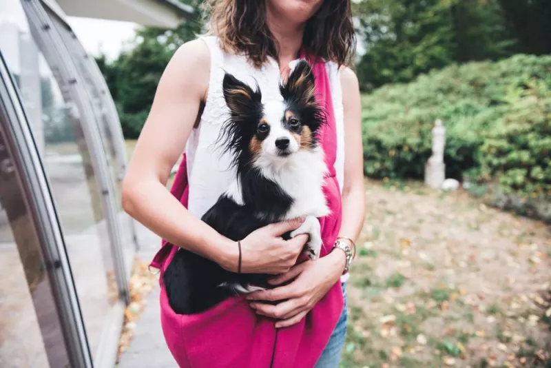 Tragebeutel Los Angeles